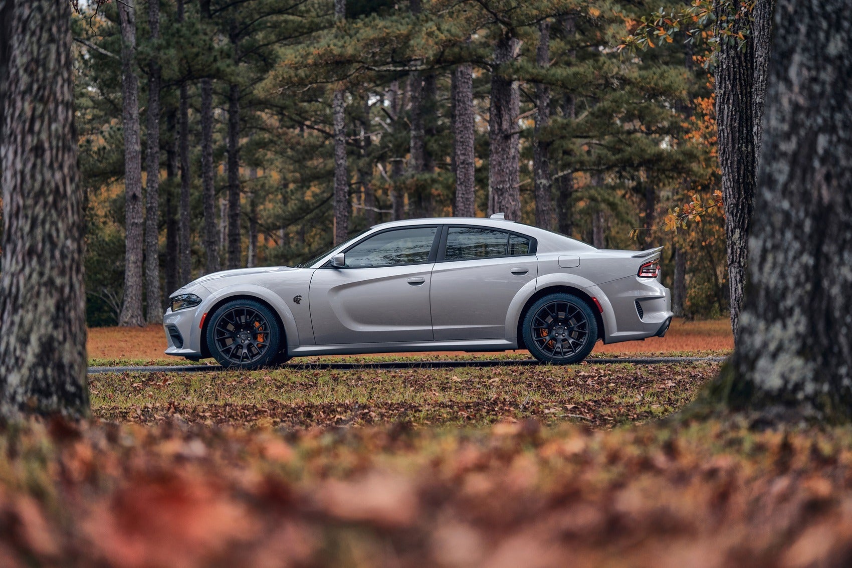 About Our Dodge Vehicles 